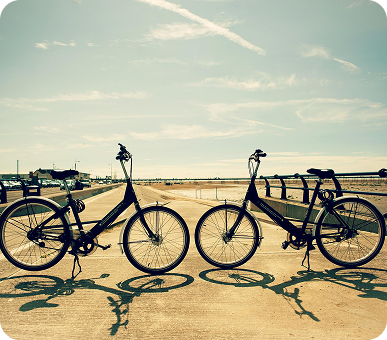 Trail Hunter Pro bicycle